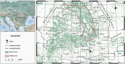 Evaluation of forest loss data using fractal algorithms: case study Eastern Carpathians–Romania